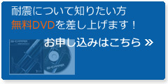 DVDv[g